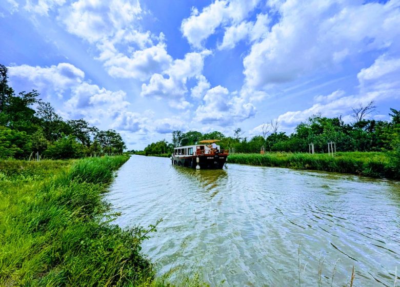 CRUCEROS MIDI