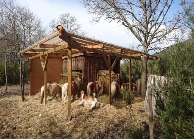 BERGERIE DU PRAT DE MU