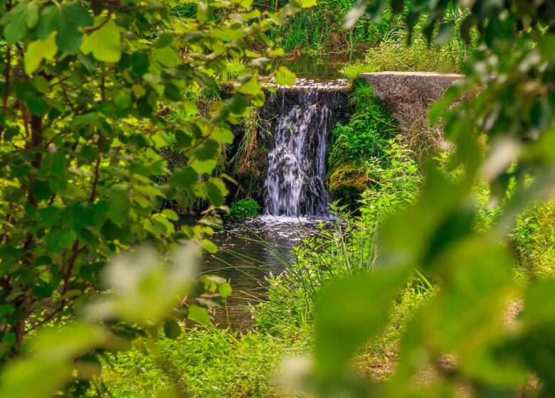 DU BLÉ AU MOULIN