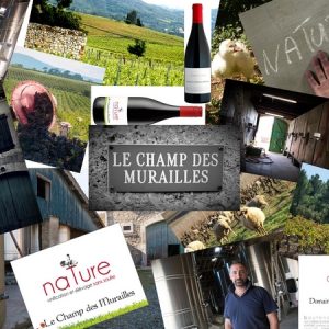 DOMAINE LE CHAMP DES MURAILLES
