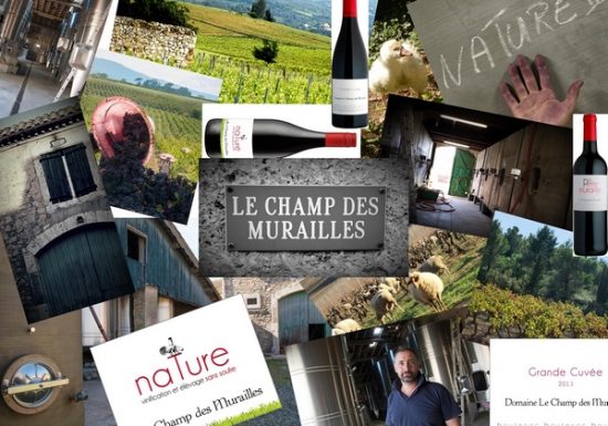DOMAINE LE CHAMP DES MURAILLES
