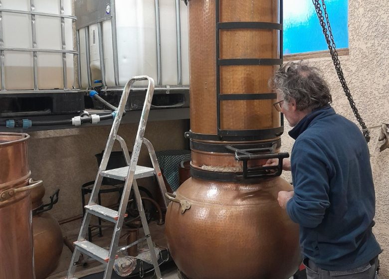 LE CISTE ALAMBIQUÉ