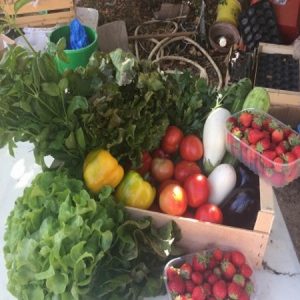 LE JARDIN DE LA CLAIRETTE