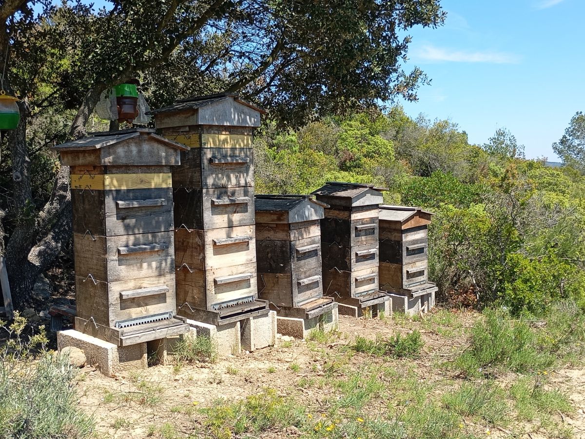 LES JARDINS DE LA RUNE