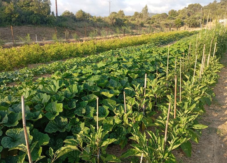LES JARDINS DE LA RUNE