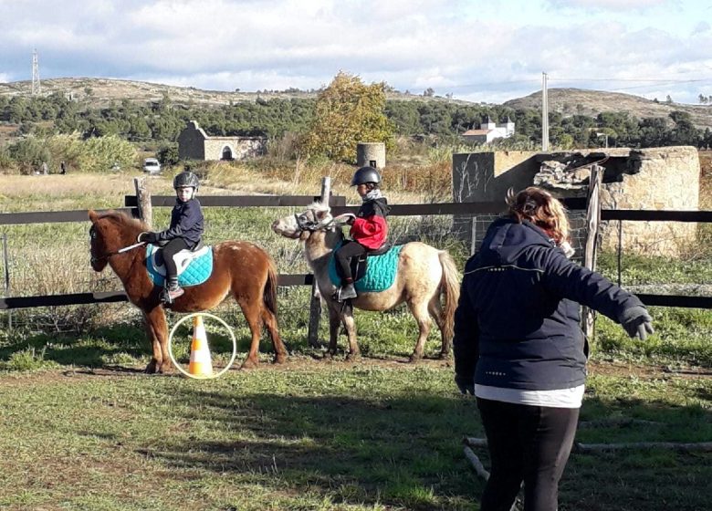 ELS GENETS DE LUMINARYO