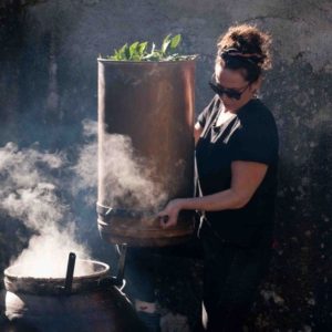 ALCHIMIE Ô-MĀ-YĀ – JARDINS DE PLANTES MÉDICINALES ET HYDROLATS ARTISANAUX