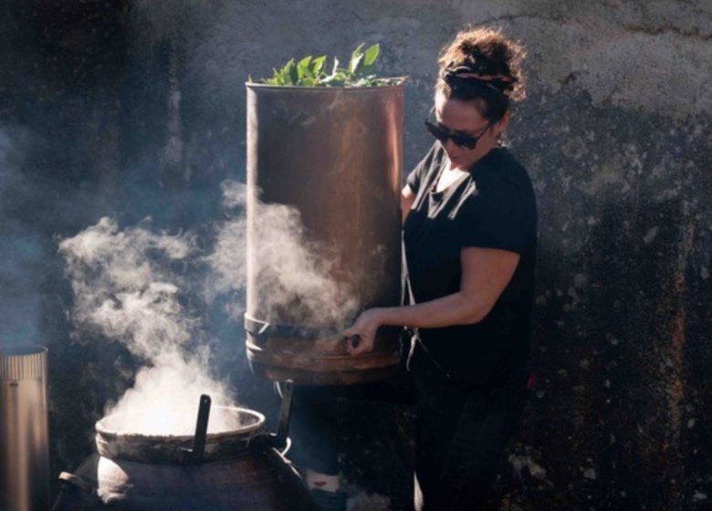 ALCHIMIE Ô-MĀ-YĀ – JARDINS DE PLANTES MÉDICINALES ET HYDROLATS ARTISANAUX