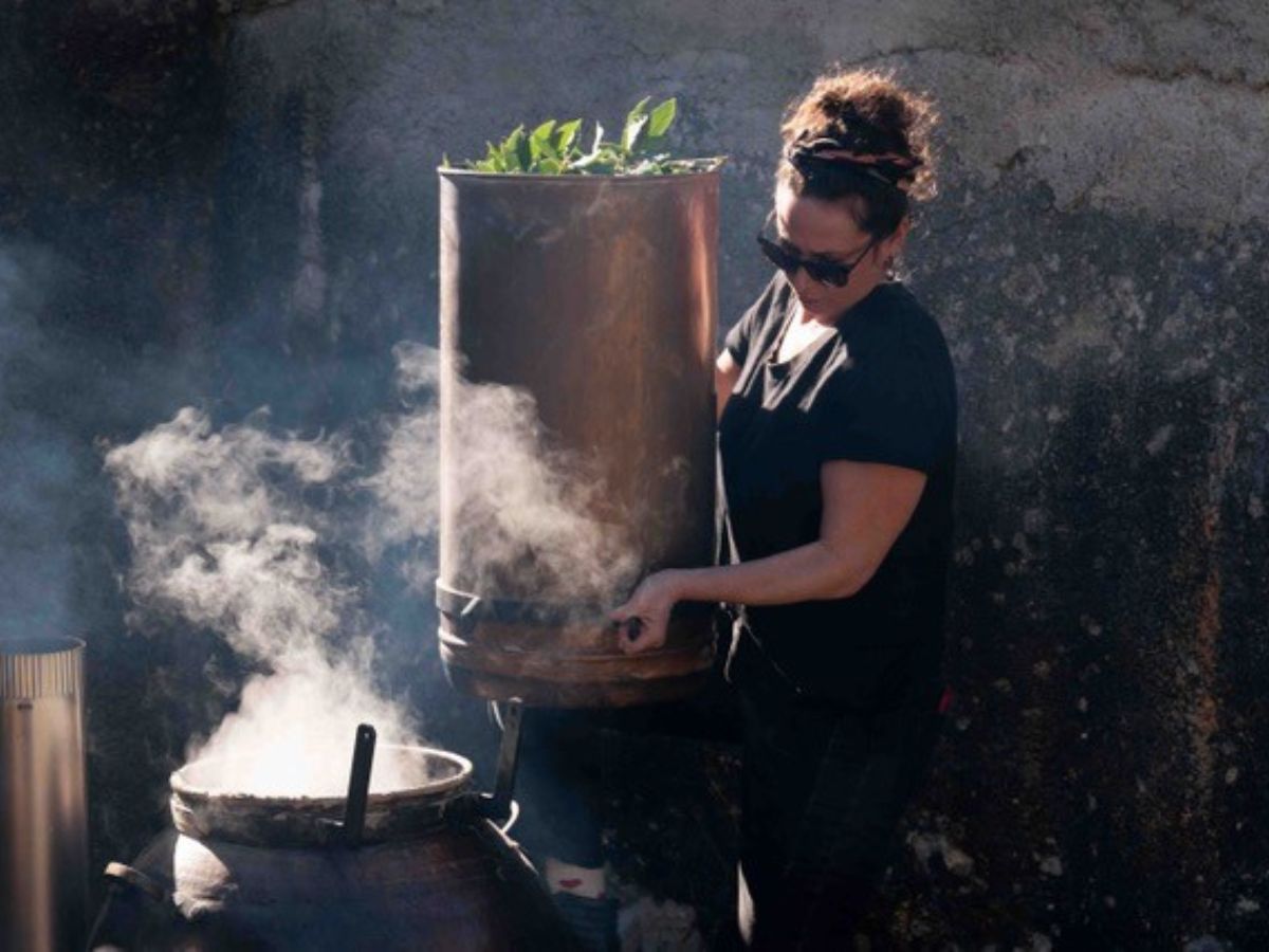 ALCHIMIE Ô-MĀ-YĀ – JARDINS DE PLANTES MÉDICINALES ET HYDROLATS ARTISANAUX