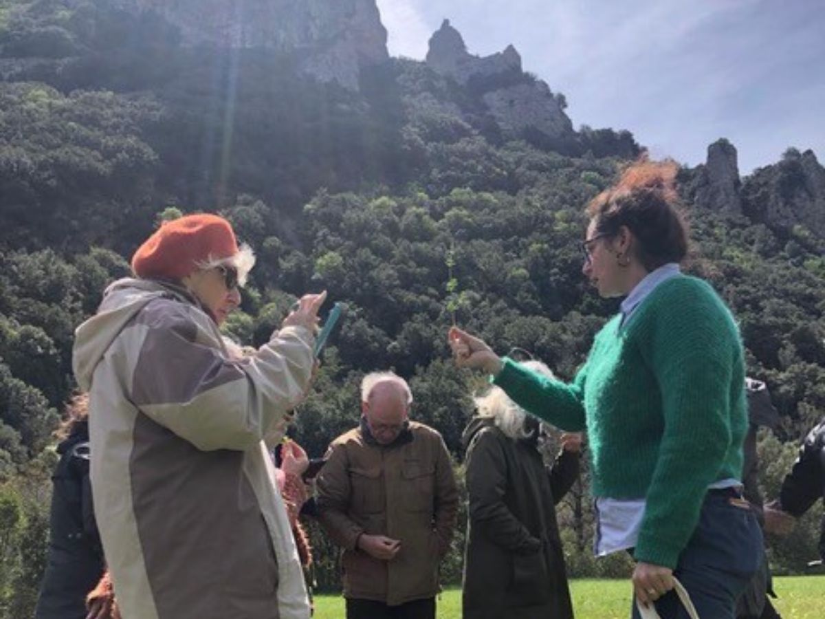 ALCHIMIE Ô-MĀ-YĀ – JARDINS DE PLANTES MÉDICINALES ET HYDROLATS ARTISANAUX