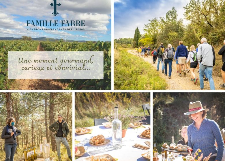 FABRE FAMILY WINE TOURISM