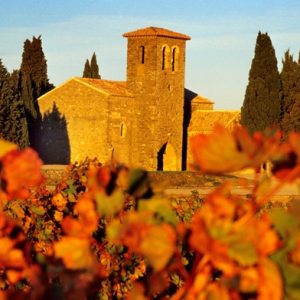 « AUDE » À LA VIGNE