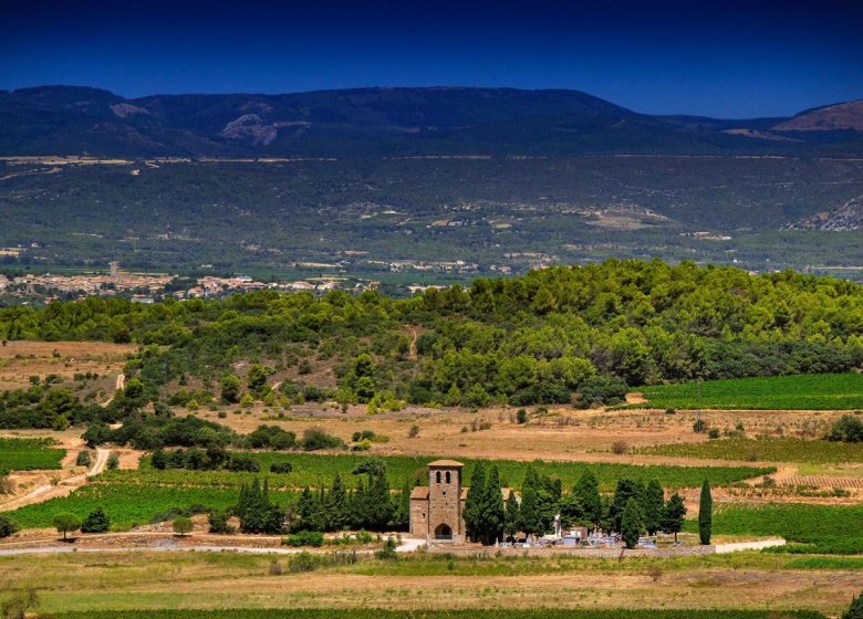 LA ROCA DEL ZORRO