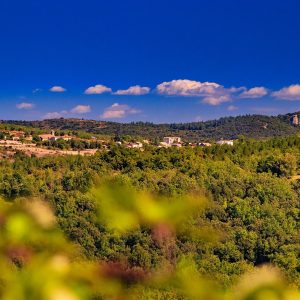 LE JARDINIER DU TERROIR