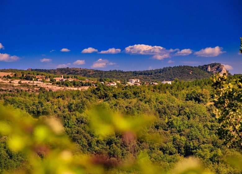 LE JARDINIER DU TERROIR