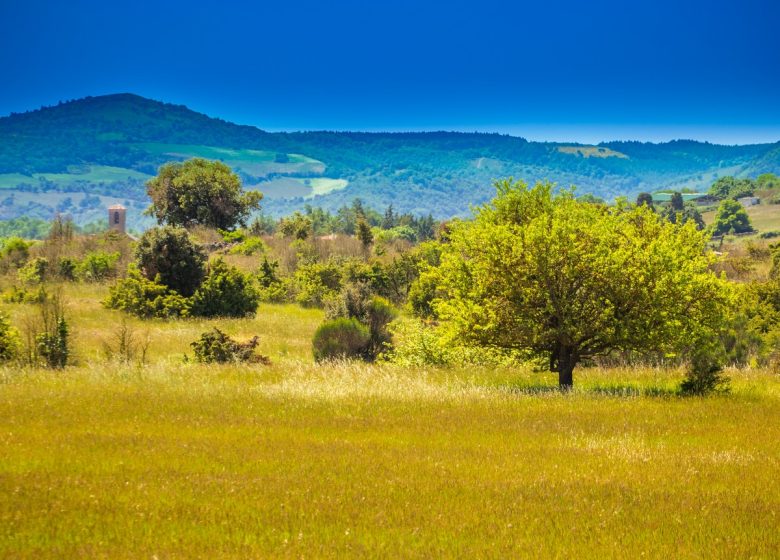 EL JARDINERO DEL TERROIR