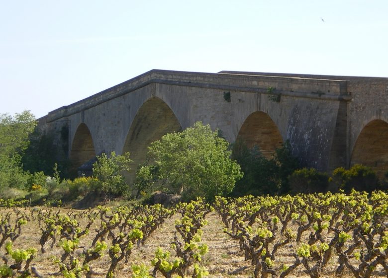 AUTOUR DU PECH TENAREL