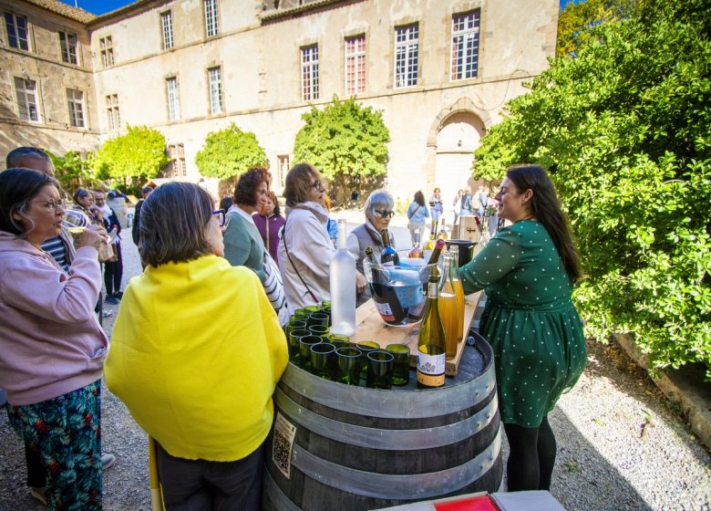 VES 2025 – VISITE FAMILLE AU CHÂTEAU DE LUC