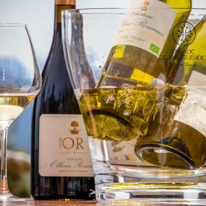 CHÂTEAU OLLIEUX-ROMANIS