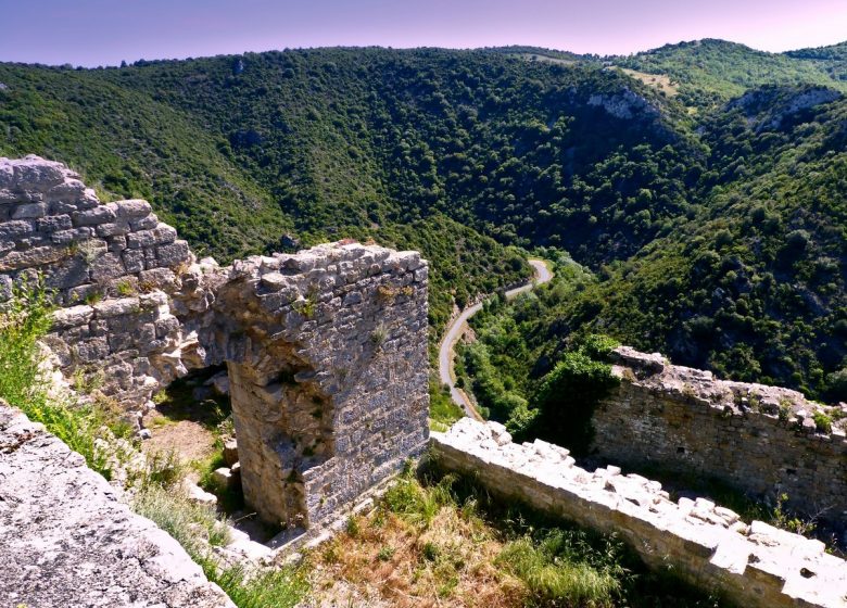 CASTILLO DE TÉRMINOS