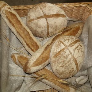 BOULANGERIE JEAN-PIERRE TERENCIO