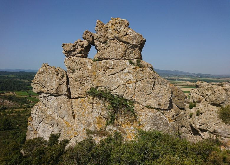 LE MOUREL