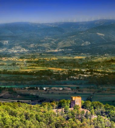 Les caves et domaines AOP Minervois