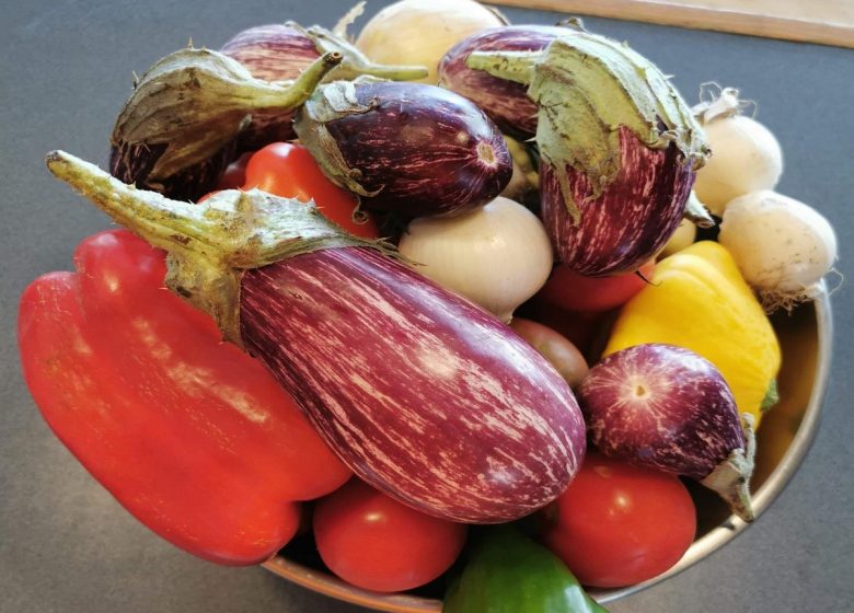 RESTAURANT- BAR DU CAMPING LA PINÈDE