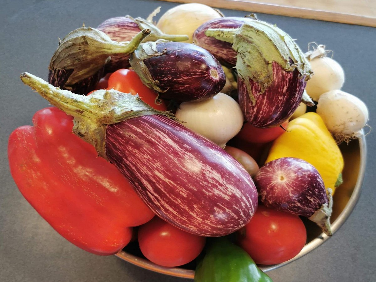 RESTAURANT- BAR DU CAMPING LA PINÈDE