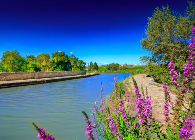 ROMANCE EN ROUES LIBRES, LE LONG DU CANAL DU MIDI