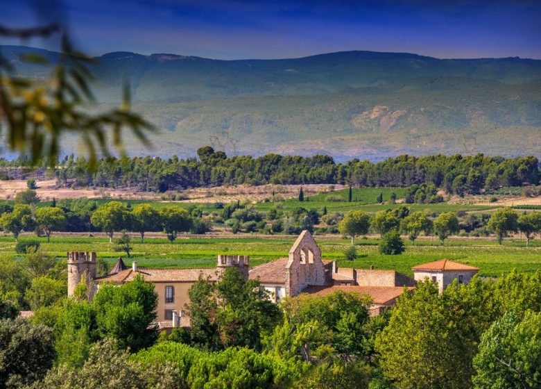 ROQUECOURBE-MINERVOIS