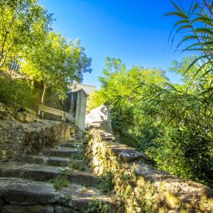 LES FAÏSSES PAR LA NIELLE