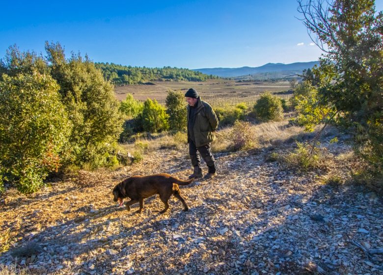 EL CIRCUITO LARGO DEL TRUFFIÈRES TRAIL