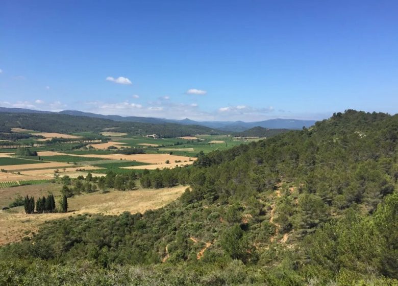 EL SENDERO DE FRANCIS ÚLTIMO