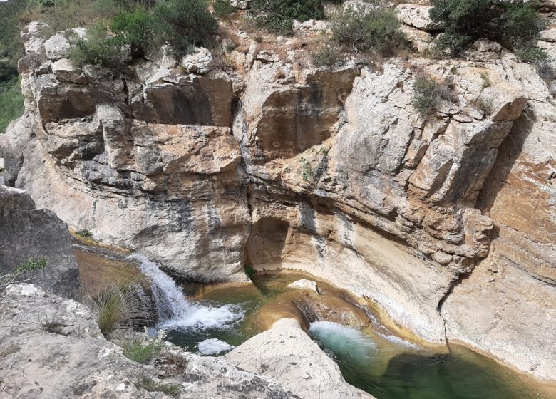 Gorges Du Verdouble Lieu Dit Moulin De Ribaute 11350 Duilhac-sous-peyrepertuse