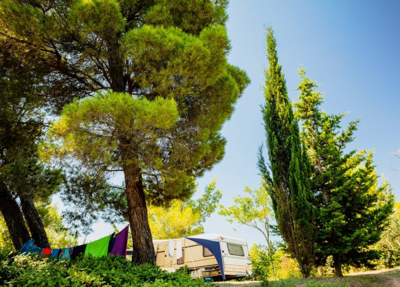 CÀMPING LA PINÈDE