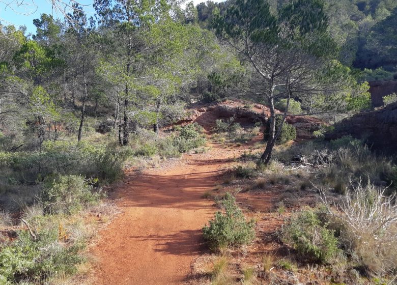 TERRES ROUGES ET CAPITELLES