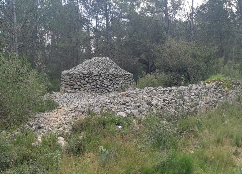 TERRES ROUGES ET CAPITELLES