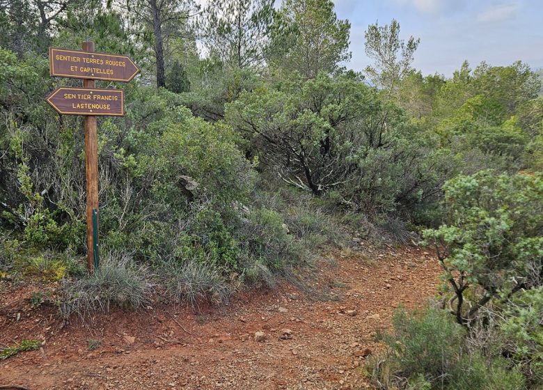 TERRES ROUGES ET CAPITELLES