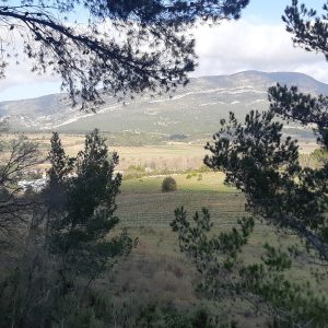 TERRES ROUGES ET CAPITELLES