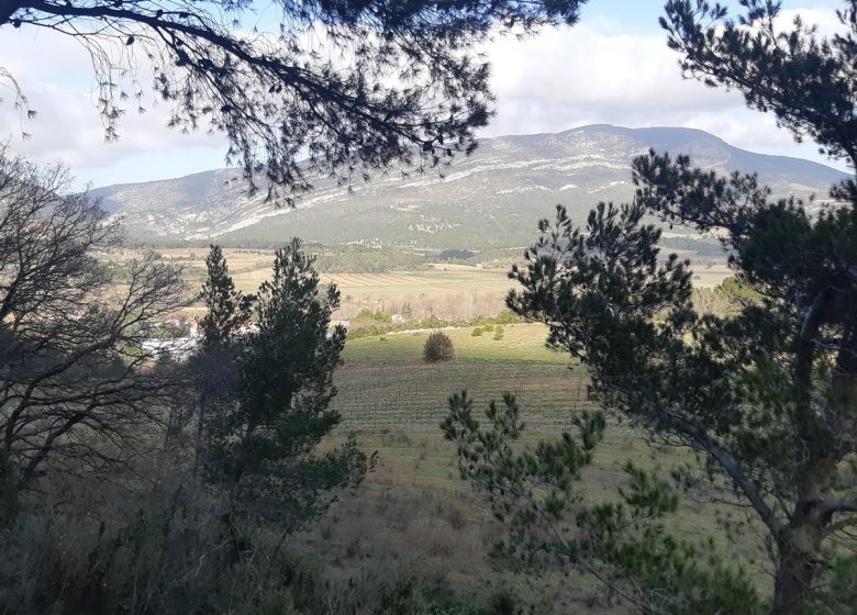 TERRES ROUGES ET CAPITELLES