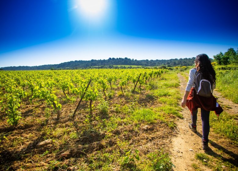 LE SENTIER DU FACTEUR