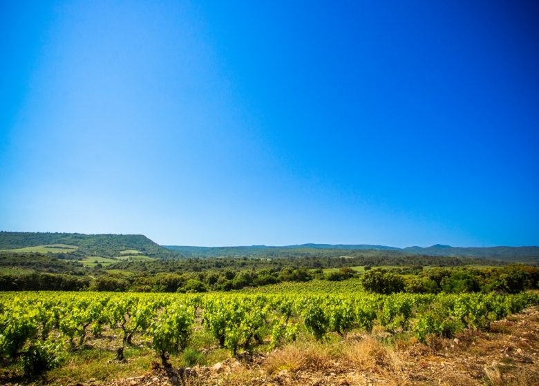 LE SENTIER DU FACTEUR