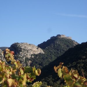 DECOUVERTE DE LA GEOLOGIE DES HAUTES CORBIERES AVEC LA BERGERIE DU PRAT DE MU