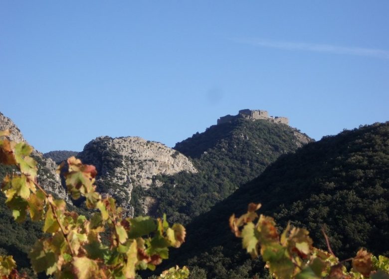 DECOUVERTE DE LA GEOLOGIE DES HAUTES CORBIERES AVEC LA BERGERIE DU PRAT DE MU