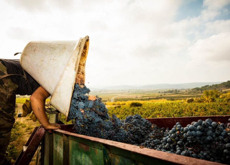 LAND DER AUSDRUCK, WEINSCHÖPFER