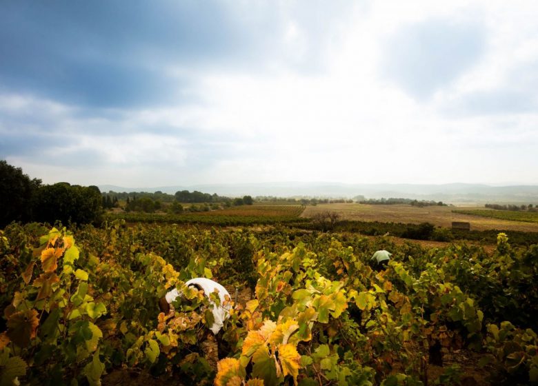 LAND DER AUSDRUCK, WEINSCHÖPFER