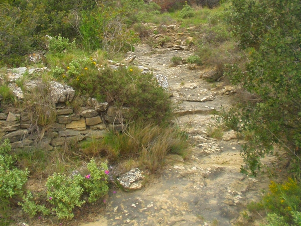 THE PINEDE OF BADE AND THE DRY STONE