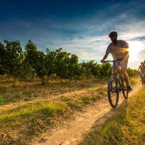 DU PAYS DES BERGERS AU PAYS DES VIGNERONS