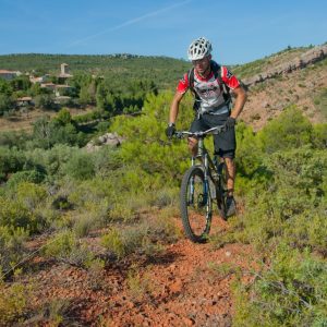 ENTRE VIGNES ET MOULINS